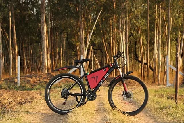 Die besten E-Bikes 2026 – Kaufberatung & Vergleich